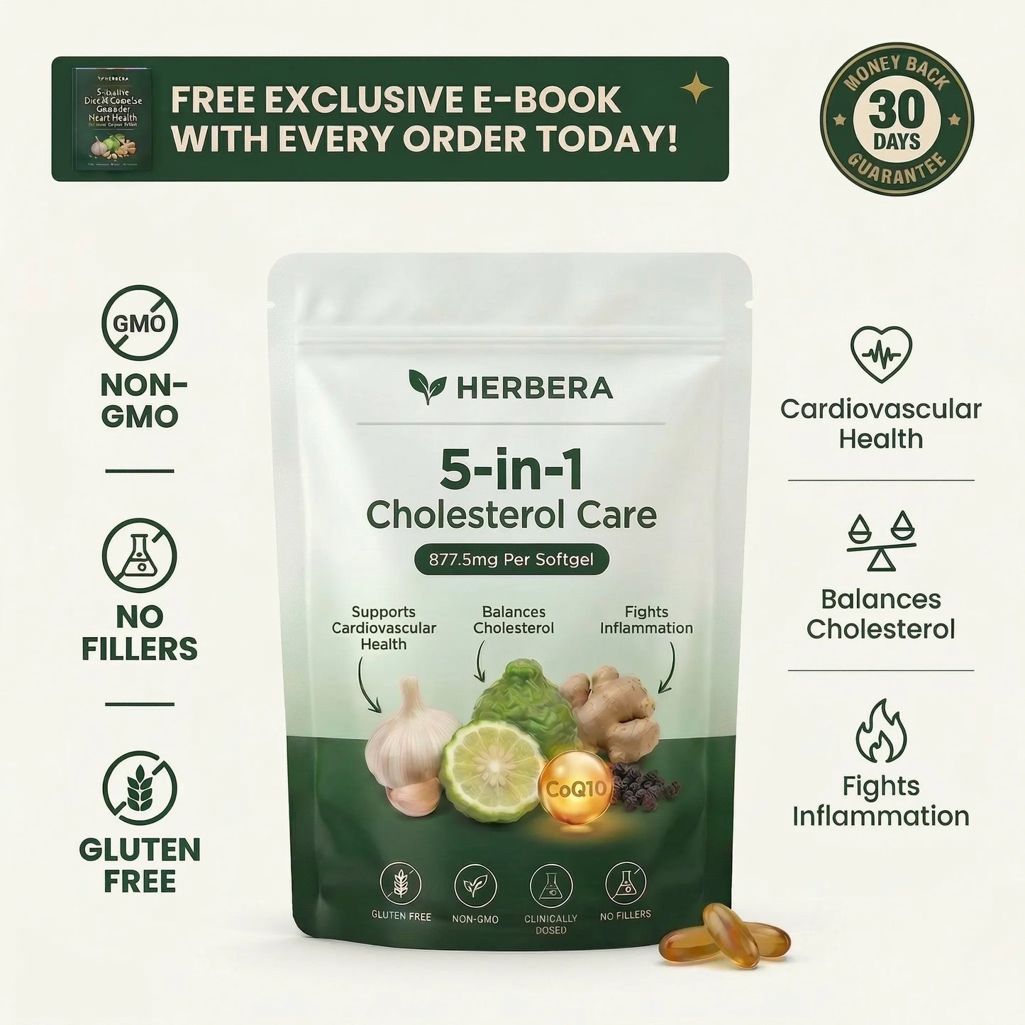Herbera 5-in-1  Cholesterol Care