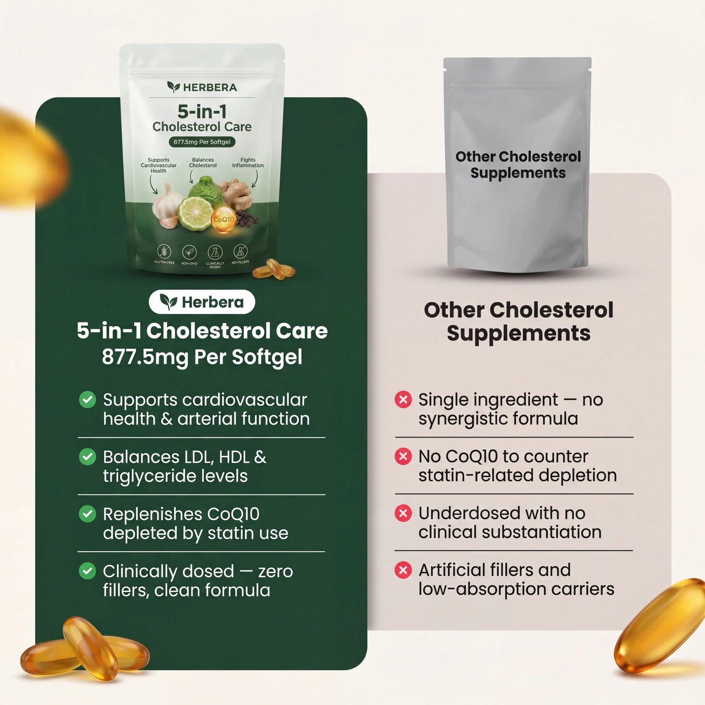 Herbera 5-in-1  Cholesterol Care