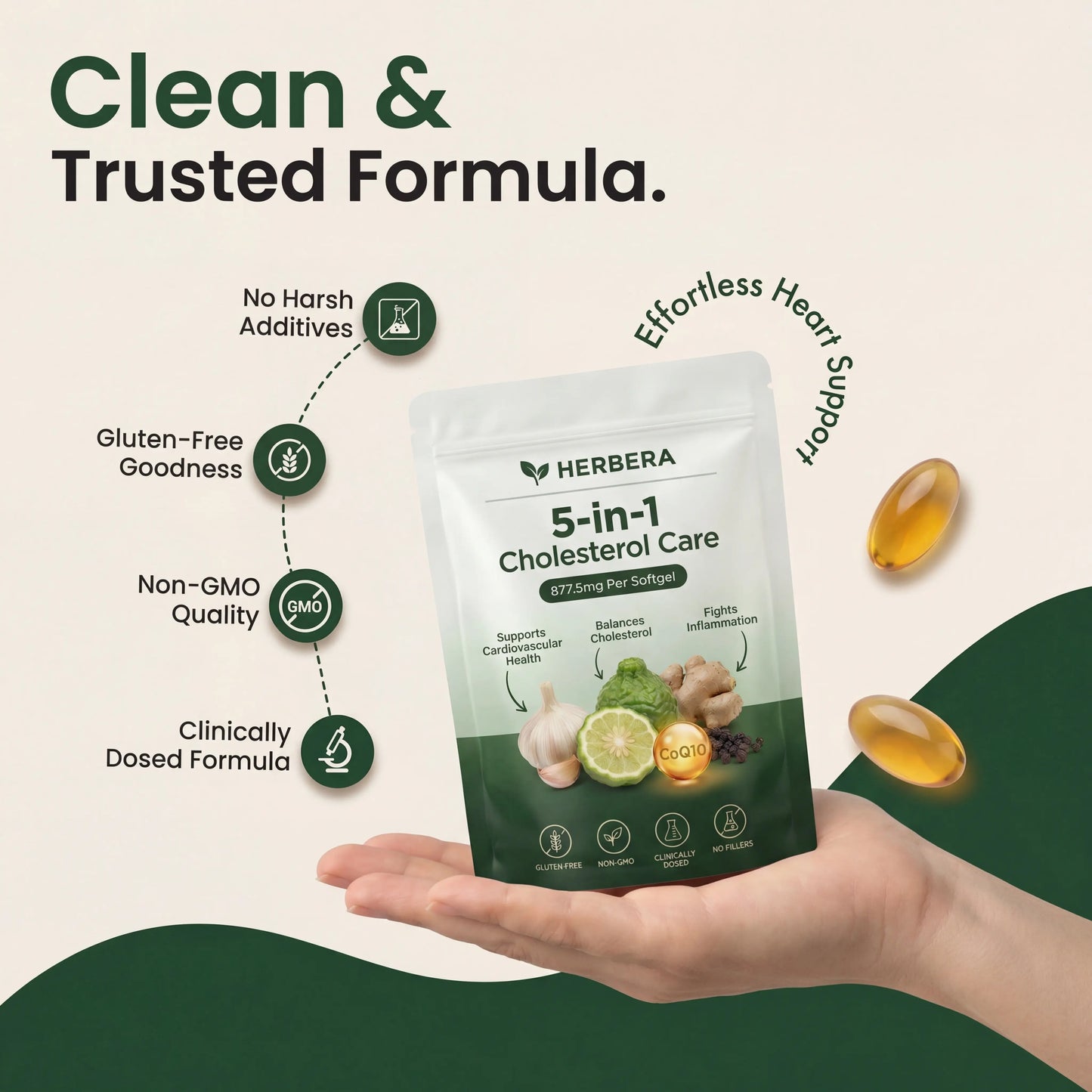 Herbera 5-in-1  Cholesterol Care